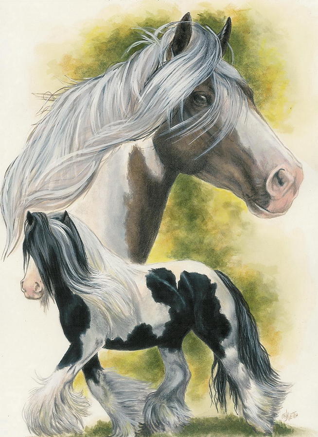 Gypsy Vanner Horse - Barbara Keith